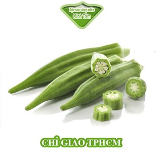 Đậu bắp tươi ngon loại 1 [CHỈ GIAO TPHCM]