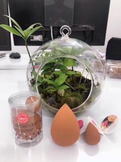 Beauty Blender
