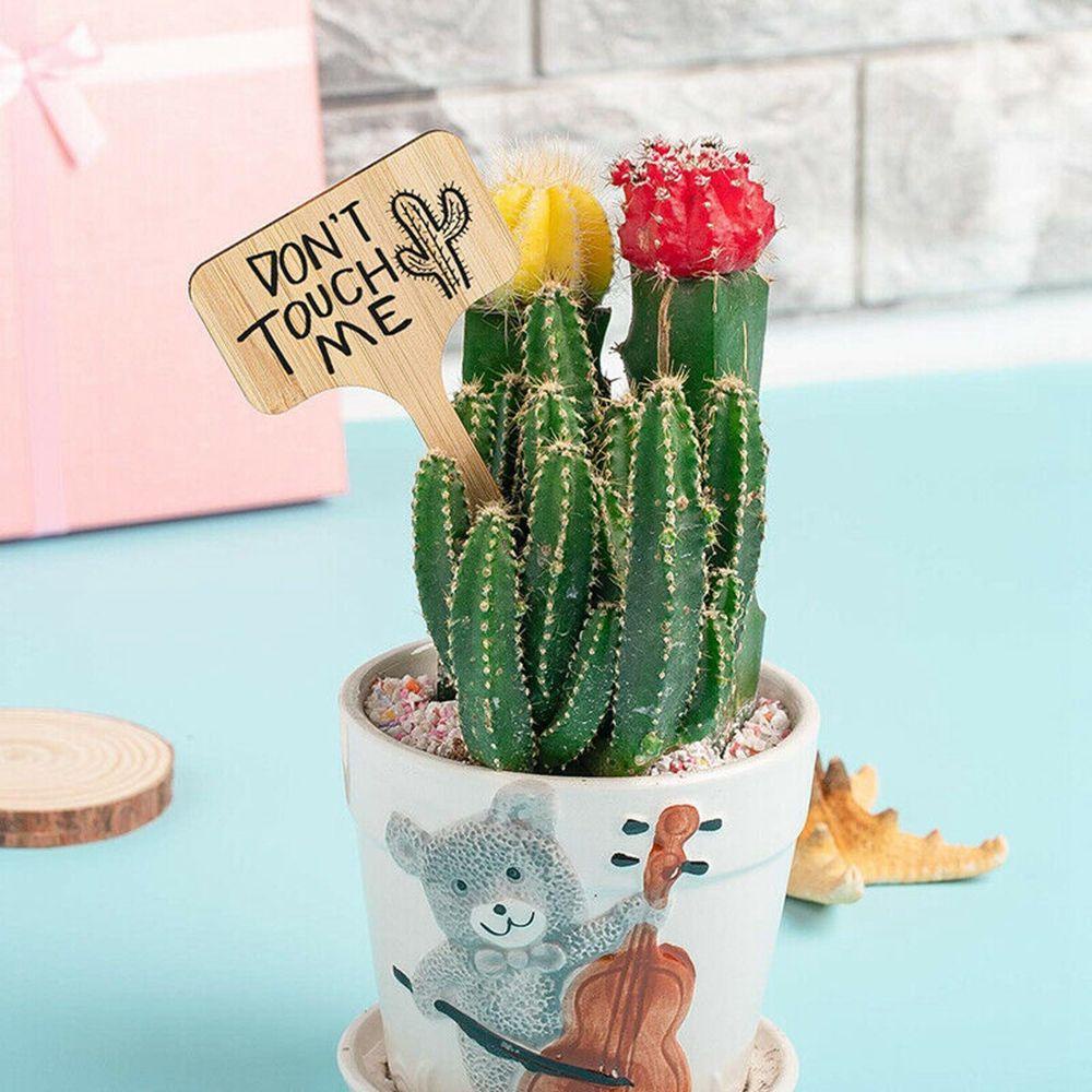 Nhãn Tre Đánh Dấu Cây Trồng Hình Chữ T DIY