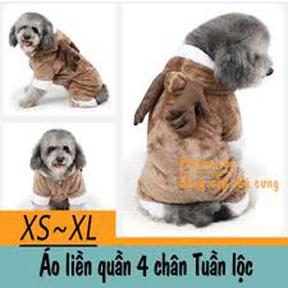 Combo 6 bộ quần áo cho chó QV90