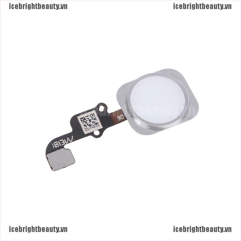 Mạch Nút home Cho Điện Thoại 6 6plus