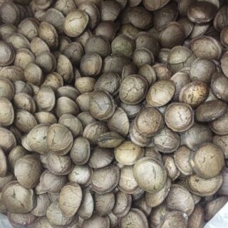 Hạt sachi rang chín ăn liền 500g