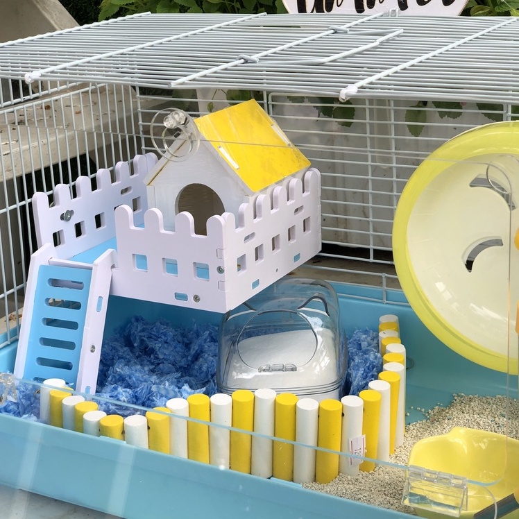 Chén ăn sứ GÀ CON VÀNG cho hamster