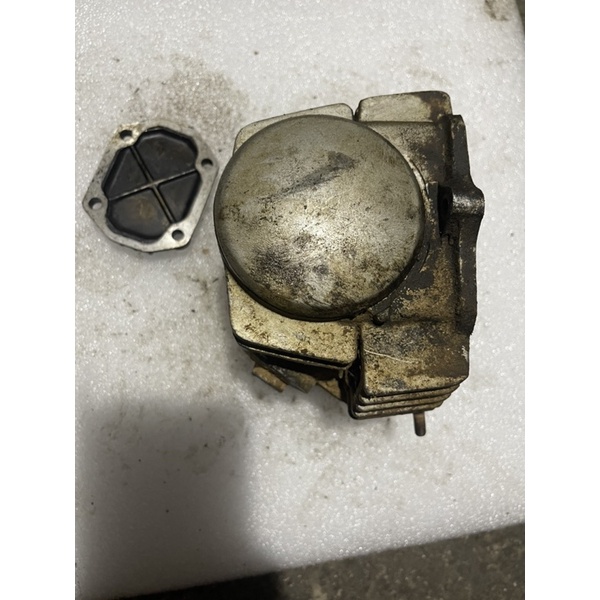 Đầu bò Sym 110cm