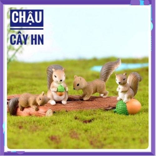 Tiểu cảnh mini - Chú Sóc làm phụ kiện terrarium, trang trí sen đá, xương rồng, nhà mô hình, charm slime