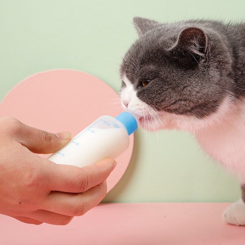 Bình sữa cho chó mèo | Bình ti sữa chó mèo sơ sinh