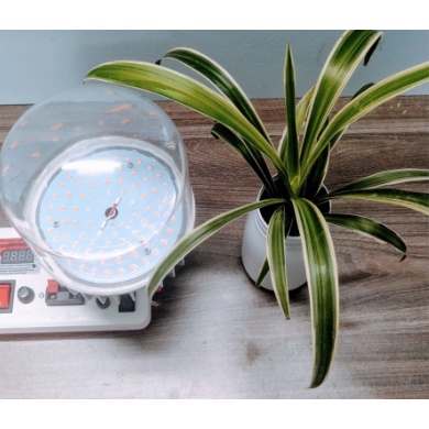 Đèn Led trồng cây Rạng Đông 50W 220V có UV, đèn quang hợp cho cây trong nhà, kích thích tăng trưởng