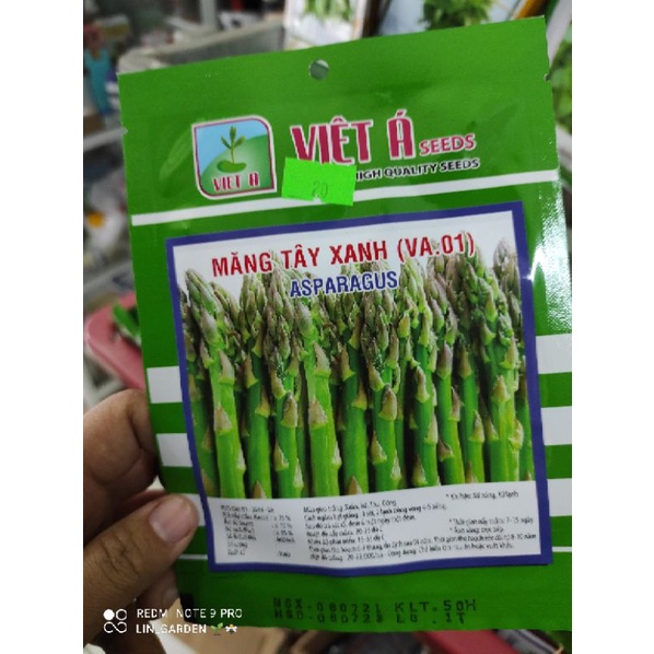 Hạt Giống Măng Tây Xanh