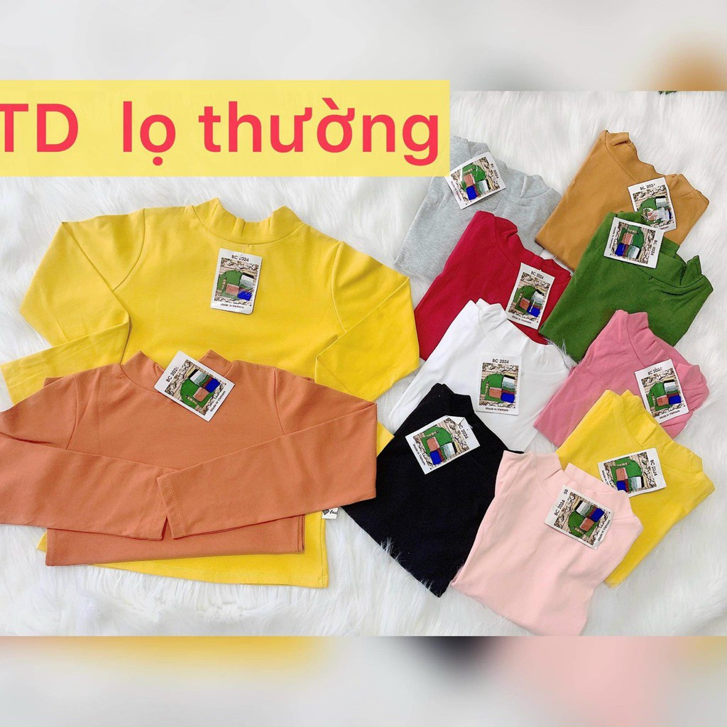 Áo thun tay dài cổ lọ nữ chất liệu cotton co giãn ôm dáng , áo thun cổ cao giữ nhiệt BC2024