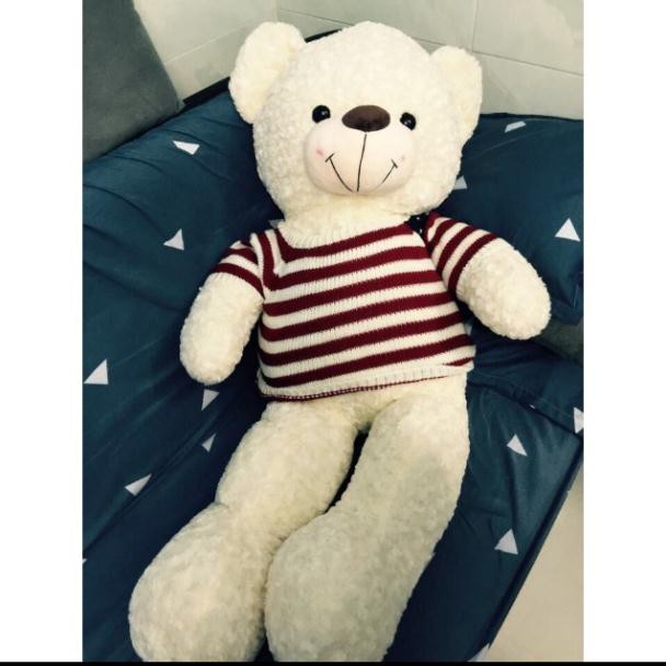 Gấu bông teddy cao 1m