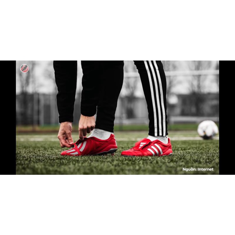 Giày đá bóng predator Beckham