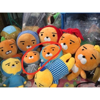 Gấu của tiểu thư Đặng
