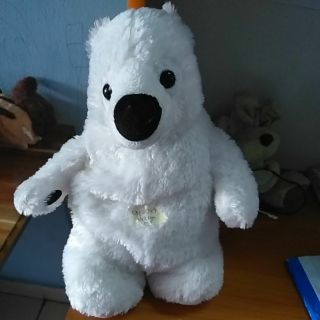 Gấu của nikita nguyễn