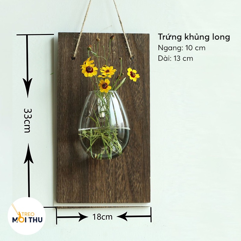 Bình Thủy Tinh Trồng Cây Thủy Sinh Treo Tường - Siêu Nhẹ - Treo Mọi Thứ