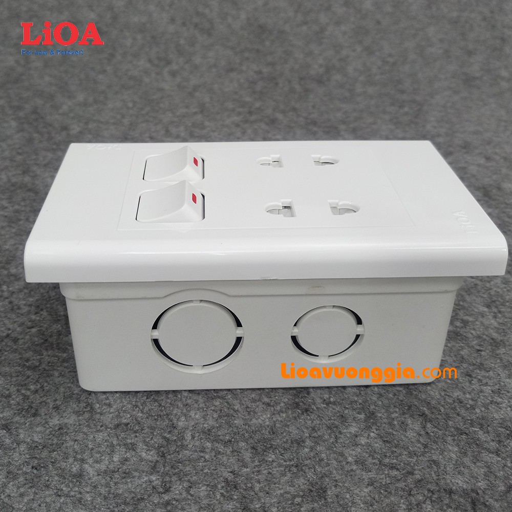 Combo ổ cắm điện đôi 2 chấu 16A 3520W + 2 công tắc điện LiOA - Âm tường