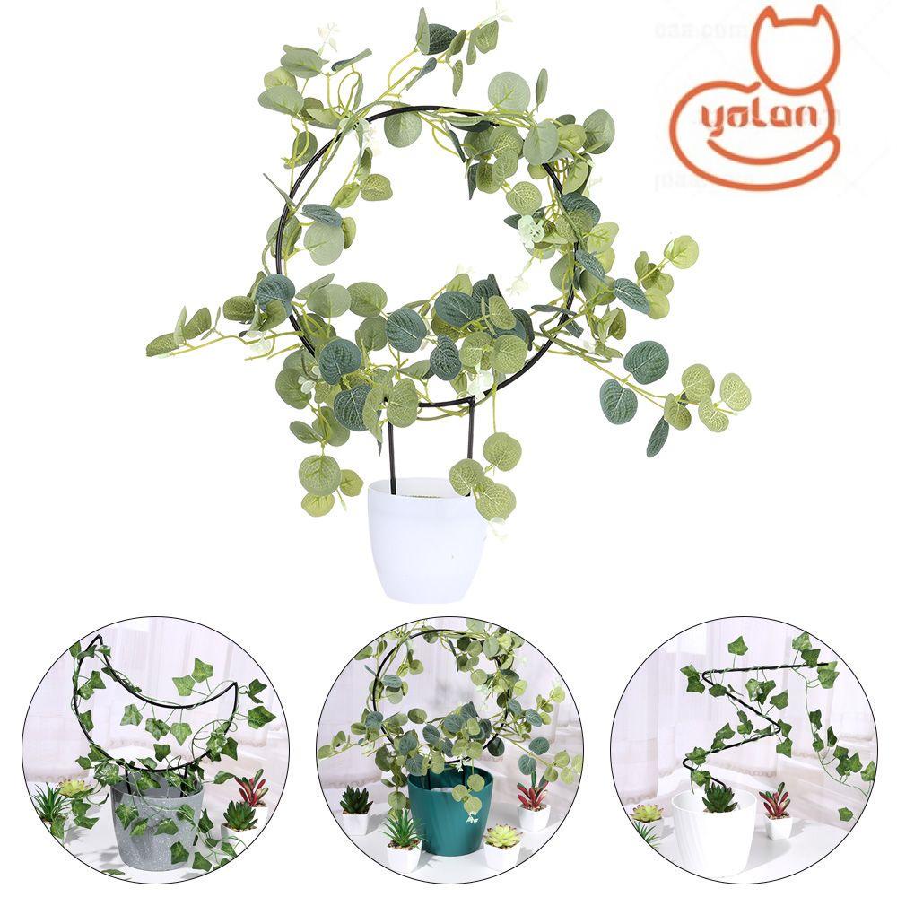 Giá đỡ cây dây leo bằng sắt nhiều hình dạng chuyên dụng cho sân vườn