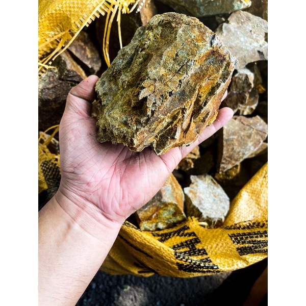 Đá Trầm Suối Nâu (1KG) Setup Bể Thuỷ Sinh,Tiểu Cảnh Bán Cạn, Trang Trí Bể Cá Cảnh