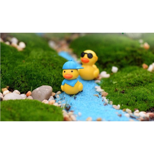 Vịt đội nón trang trí tiểu cảnh🐥