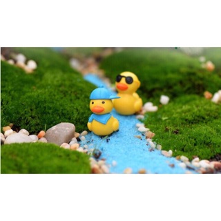 Vịt đội nón trang trí tiểu cảnh🐥