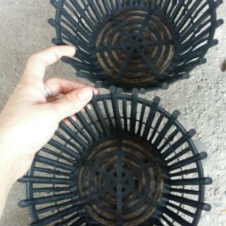 Chậu trồng lan rộng 20cm