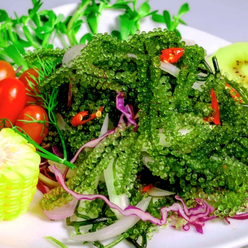 Rong Nho Muối - 100 gram