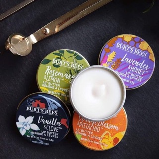 Son dưỡng môi Burt’s Bees Lip Butter hộp thiếc (11.3g) - USA