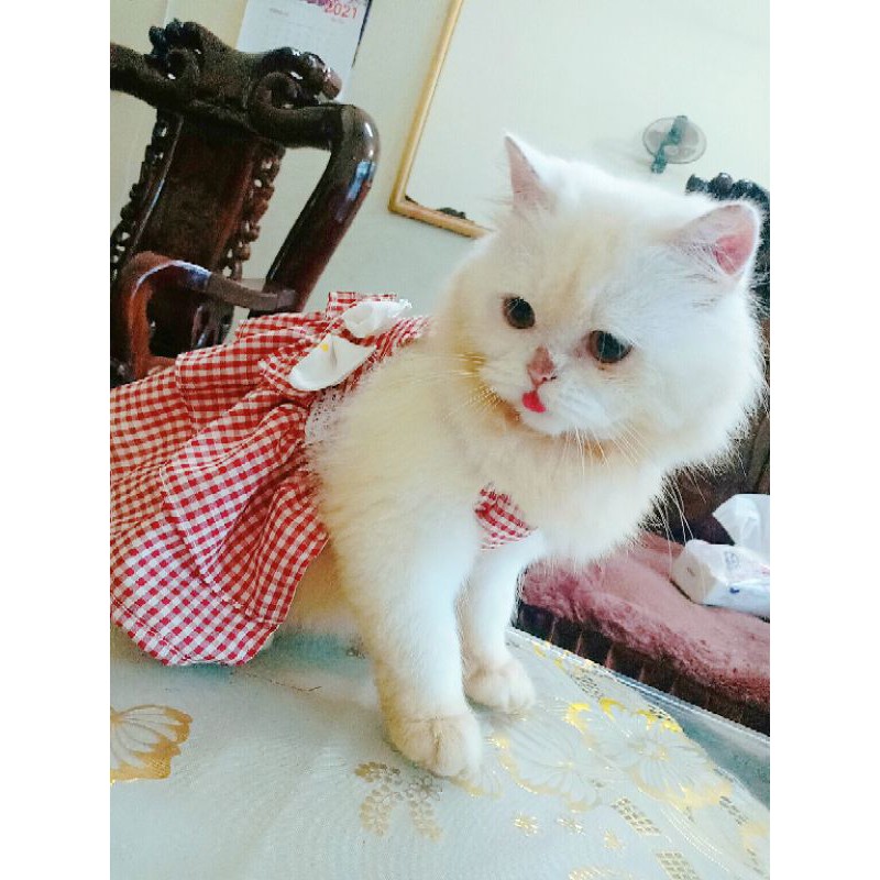 đầm kẻ hai màu đỏ , xanh công chúa dành cho chó mèo