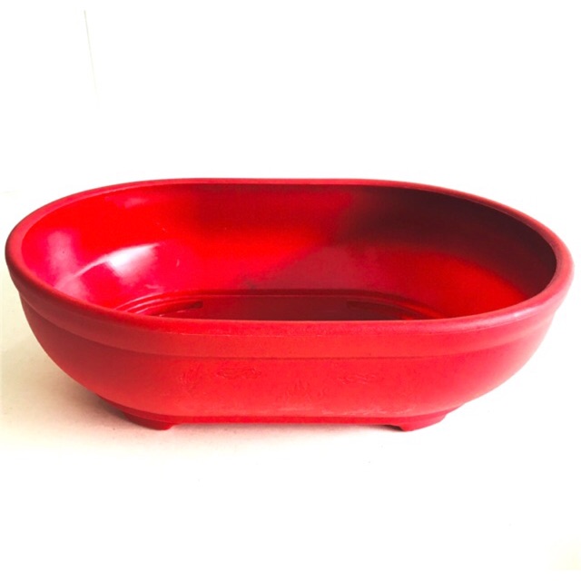 5 Chậu nhựa Oval, trang trí Để Bàn Đa Năng - chậu trồng cây bonsai