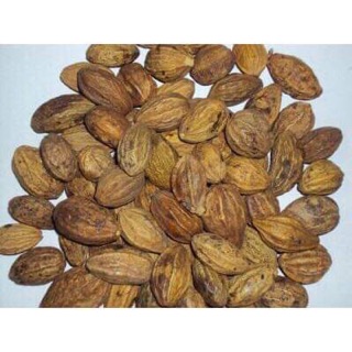 1kg quả kha tử - chữa ho