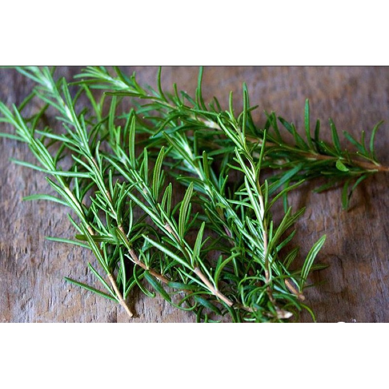 Rosemary - Hương Thảo Tươi Cắt Cành (1KG) - Có Sấy Khô