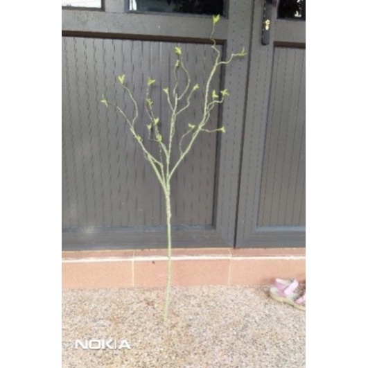 Cây giả cành cổ trang trí nhà cửa bền đẹp hoa giả
