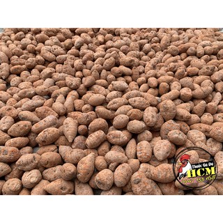Củ Nghệ Đỏ (Nghệ Xà Cừ) Cho Gà Đá Cao Cấp