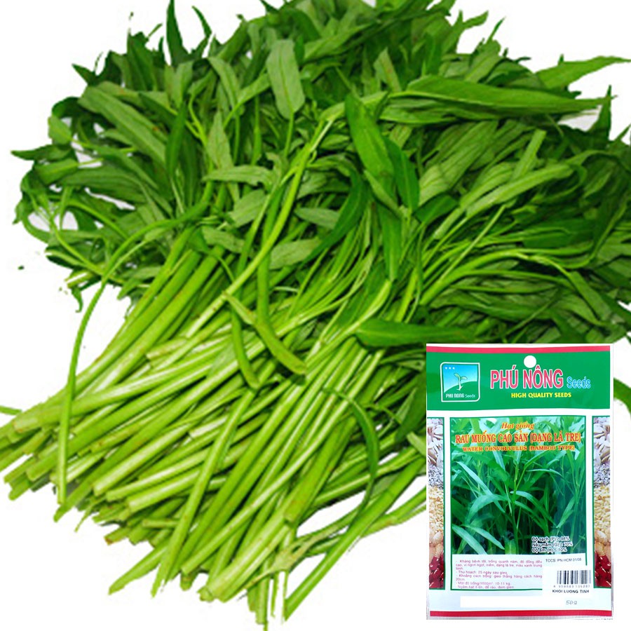 Hạt giống rau muống lá tre cao sản Phú Nông gói 100gr tỷ lệ nầy mầm cao
