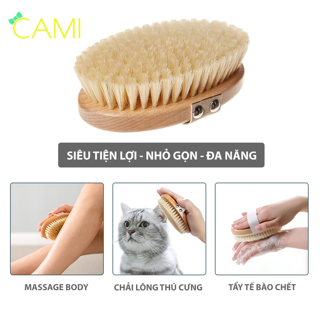 Bàn Chải Lông heo rừng tự nhiên, cán gỗ sồi chắc chắn, dùng khi tắm hoặc dùng cho thú cưng - Cami - CMPK240