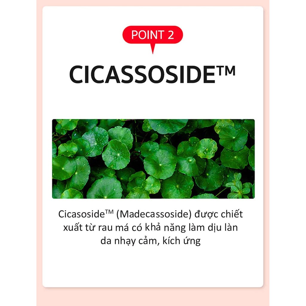 Nước Hoa Hồng Cho Da Siêu Nhạy Cảm Chiết Xuất Tràm Trà Đỏ Some By Mi Red Teatree Cicassoside Derma Solution Toner 150ml