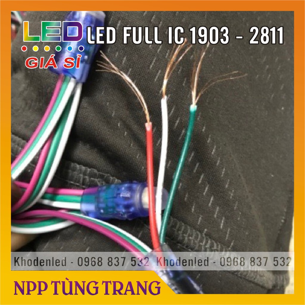 Led full IC 1903 - 2811 dây 50 bóng điện áp 5V | BigBuy360 - bigbuy360.vn