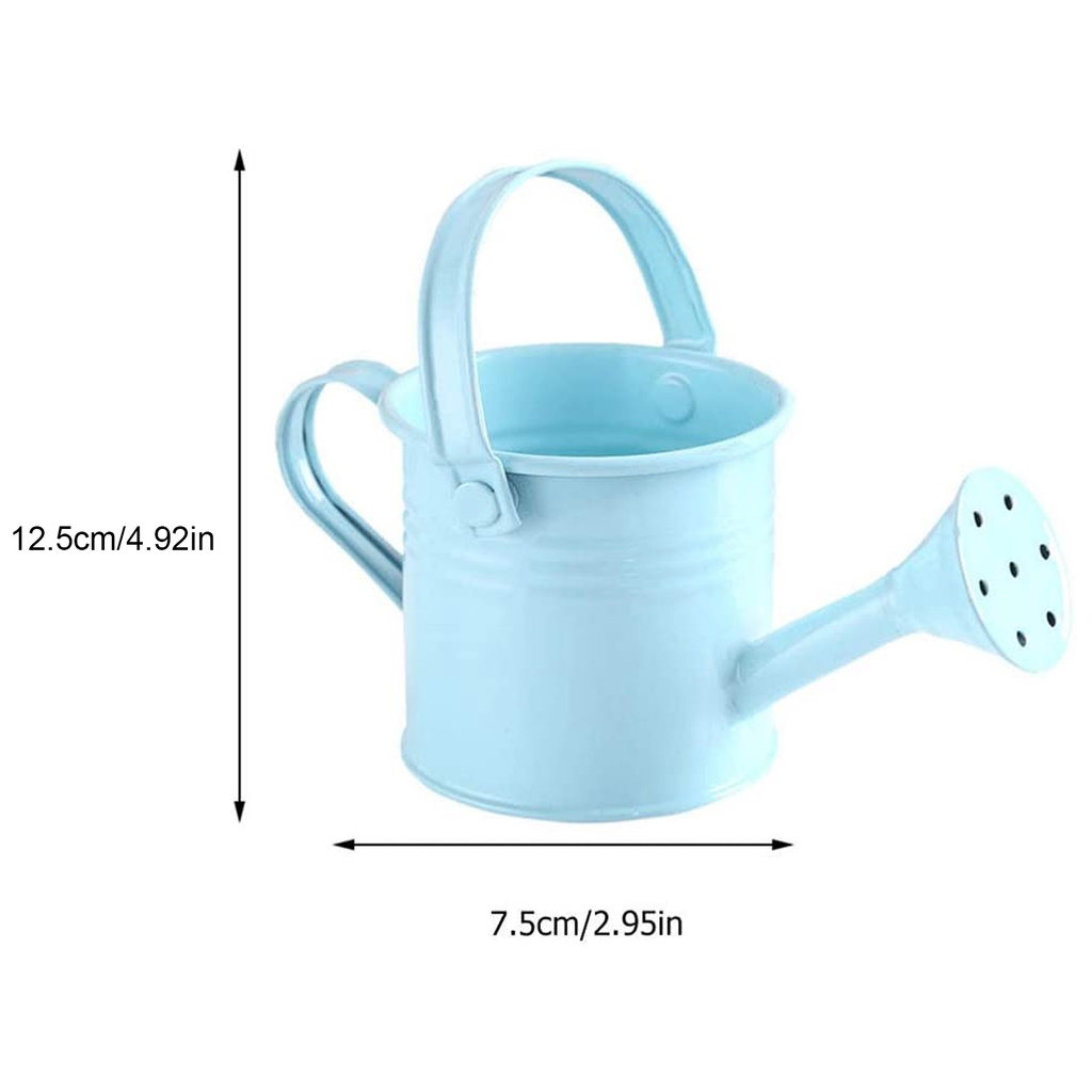 Bình Xịt Nước Tưới Cây Bằng Sắt Cỡ Lớn Có Tay Cầm Dài Tiện Dụng