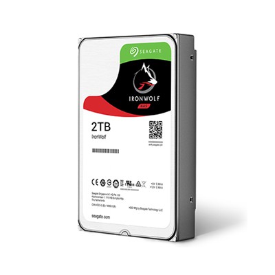 Ổ cứng cắm trong Seagate IronWolf 2TB ST2000VN004