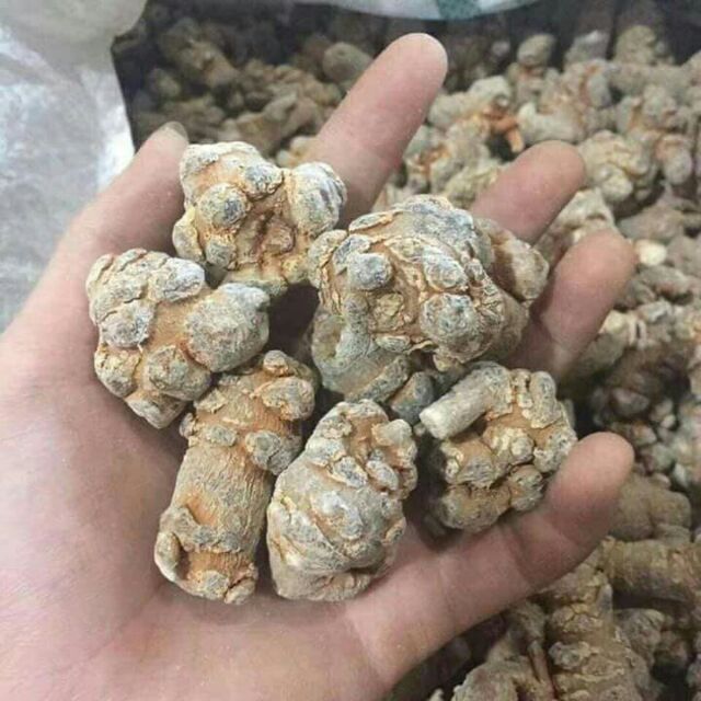 100g củ tam thất