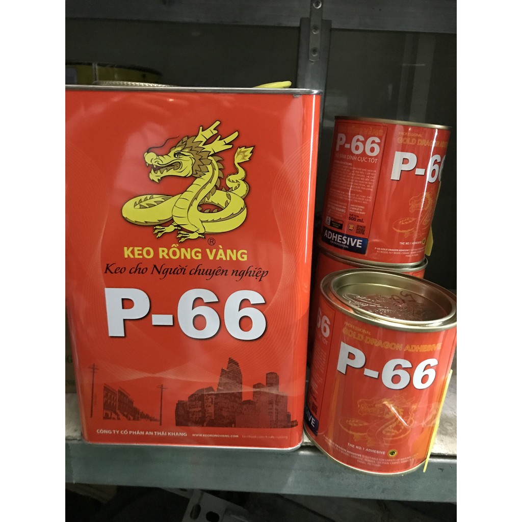 KEO RỒNG VÀNG P66 LOẠI 600G-3.3KG