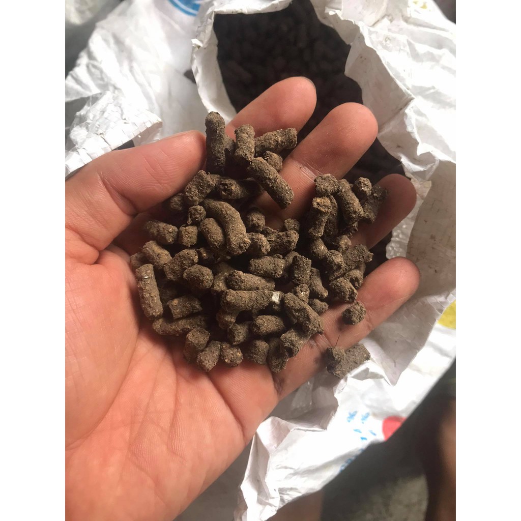 Phân trùn quế viên nén 1kg bổ sung thêm Trichoderma