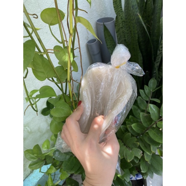 Bánh Tráng Phơi Sương Dẻo Ngon Loại 1