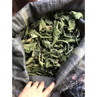 Lá Bưởi khô [1KG] Hàng sạch đẹp