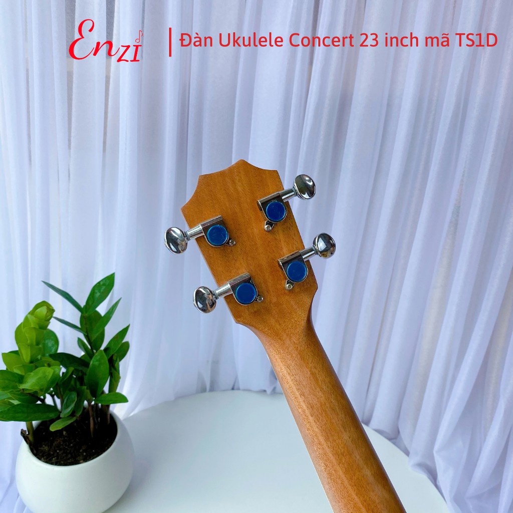Đàn ukulele concert TS1D Enzi 23 inch gỗ mộc trơn khóa đúc giá rẻ cho bạn mới bắt đầu tập chơi