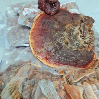 Nấm Linh Chi rừng thái lát (500gr)
