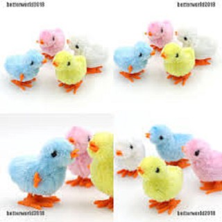 Gà con chạy cót siêu cute