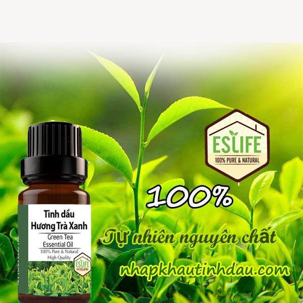 Tinh Dầu Trà Xanh tự nhiên nguyên chất 100% Green Tea Essential Oil | Chống lão hóa da, đẹp da tóc xông đốt 10ml 30ml 50 | BigBuy360 - bigbuy360.vn