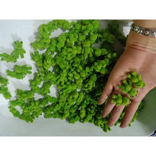 Mốc khóa gấu đủ loại mini