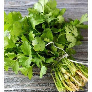 Hạt giống Mùi tây