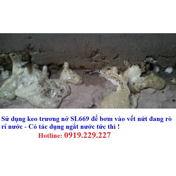 1 KG keo trương nở chống thấm SL 669 - chuyên sử dụng cho bơm keo sửa chữa vết nứt